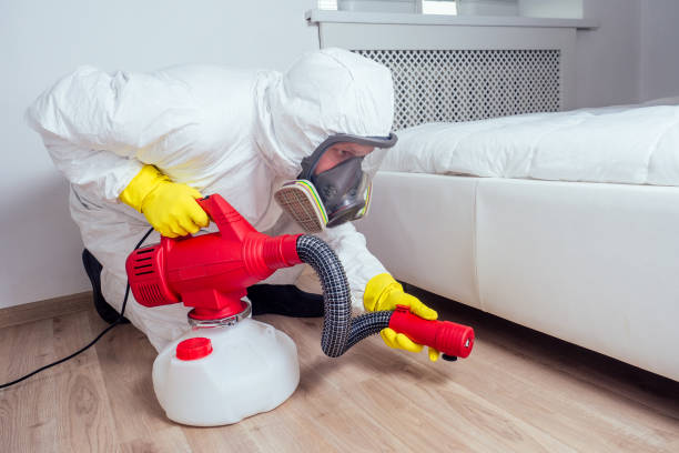 Best Pest Control for Homes  in Bemiss, GA