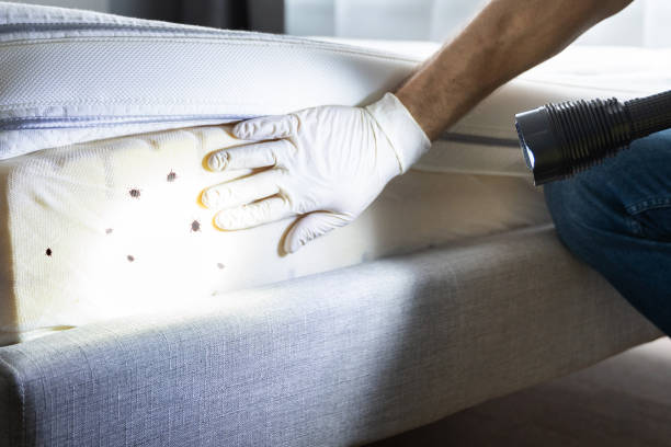 Best Pest Inspection Near Me  in Bemiss, GA