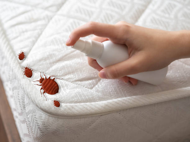 Best Best Pest Control Companies  in Bemiss, GA