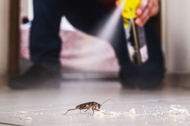 Best Emergency Pest Control  in Bemiss, GA
