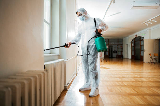 Best Pest Prevention Services  in Bemiss, GA