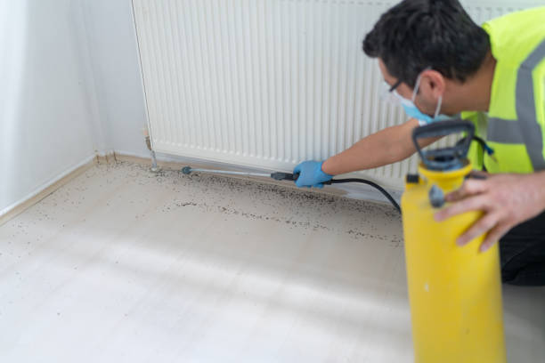 Pest Control Cost in Bemiss, GA