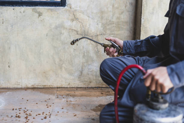 Best Affordable Pest Control Services  in Bemiss, GA